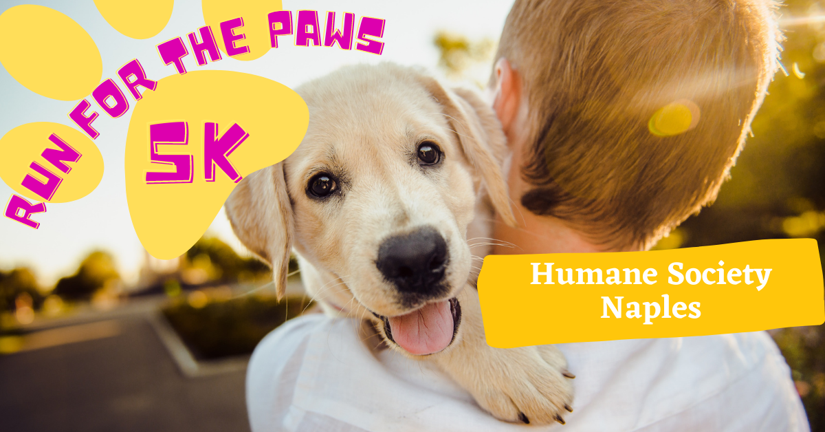 Run for the Paws