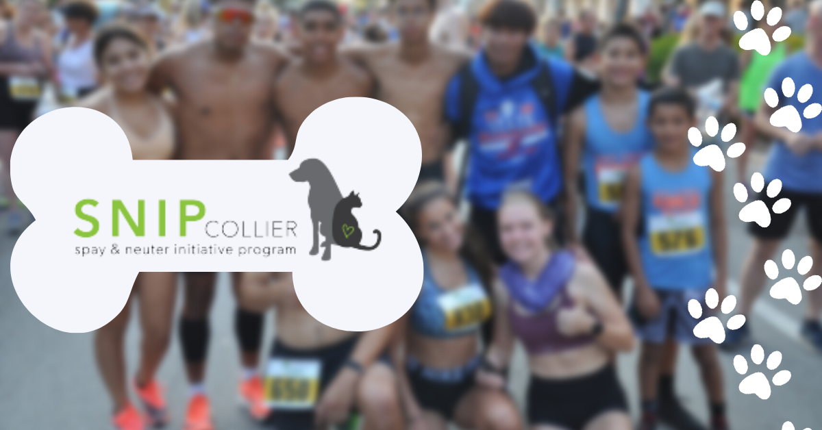 2025 SNIP Collier 5K